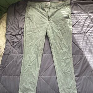 GAP Men's Sage Chinos